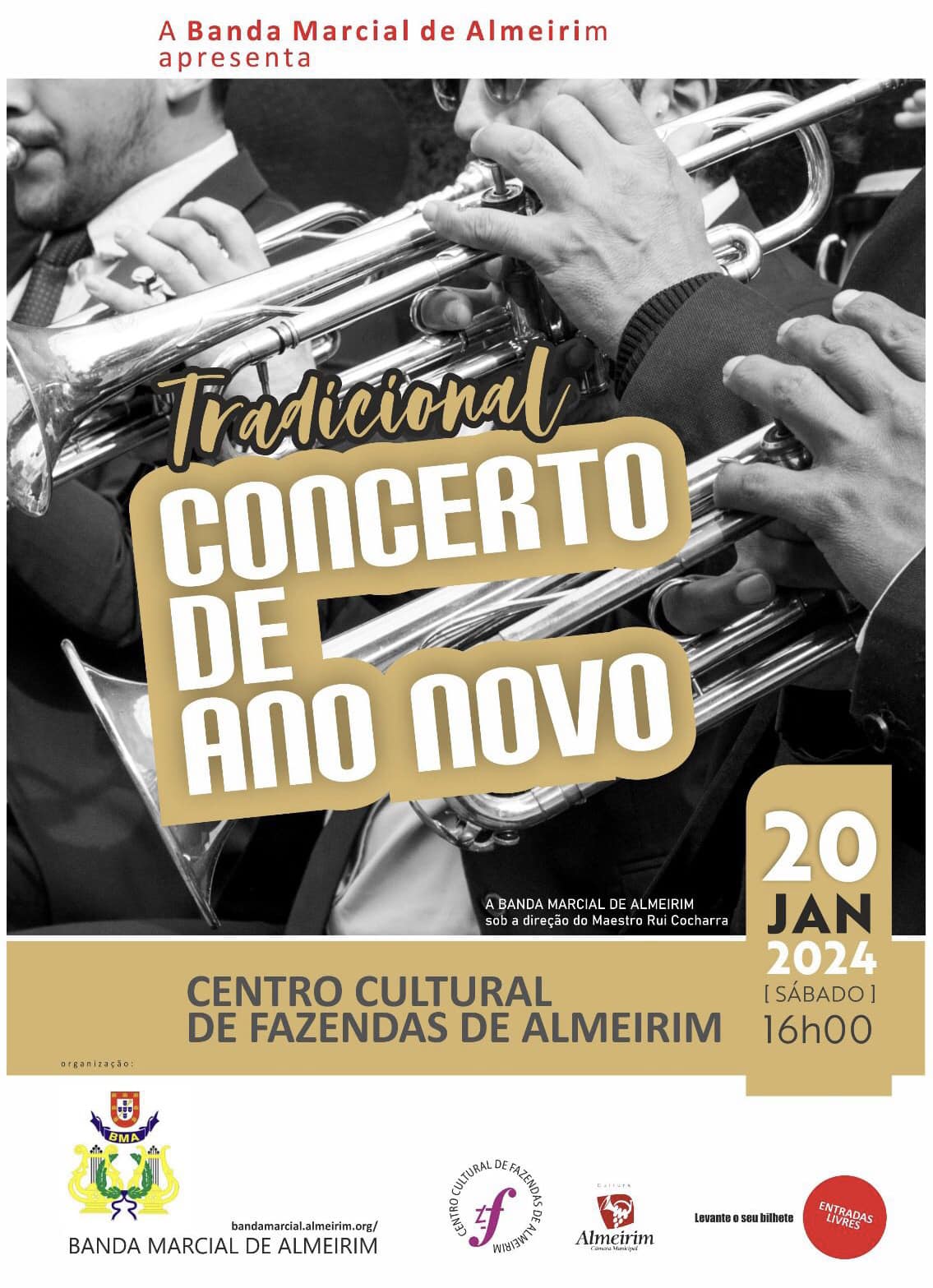Imagem Tradicional Concerto de Ano Novo