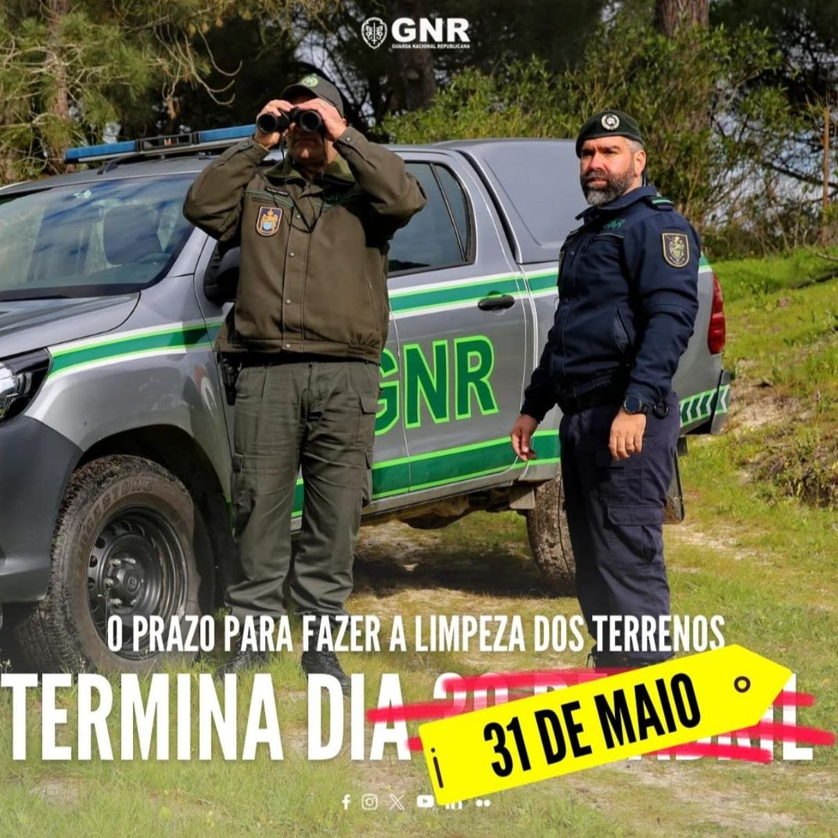 Imagem Limpeza de Terrenos