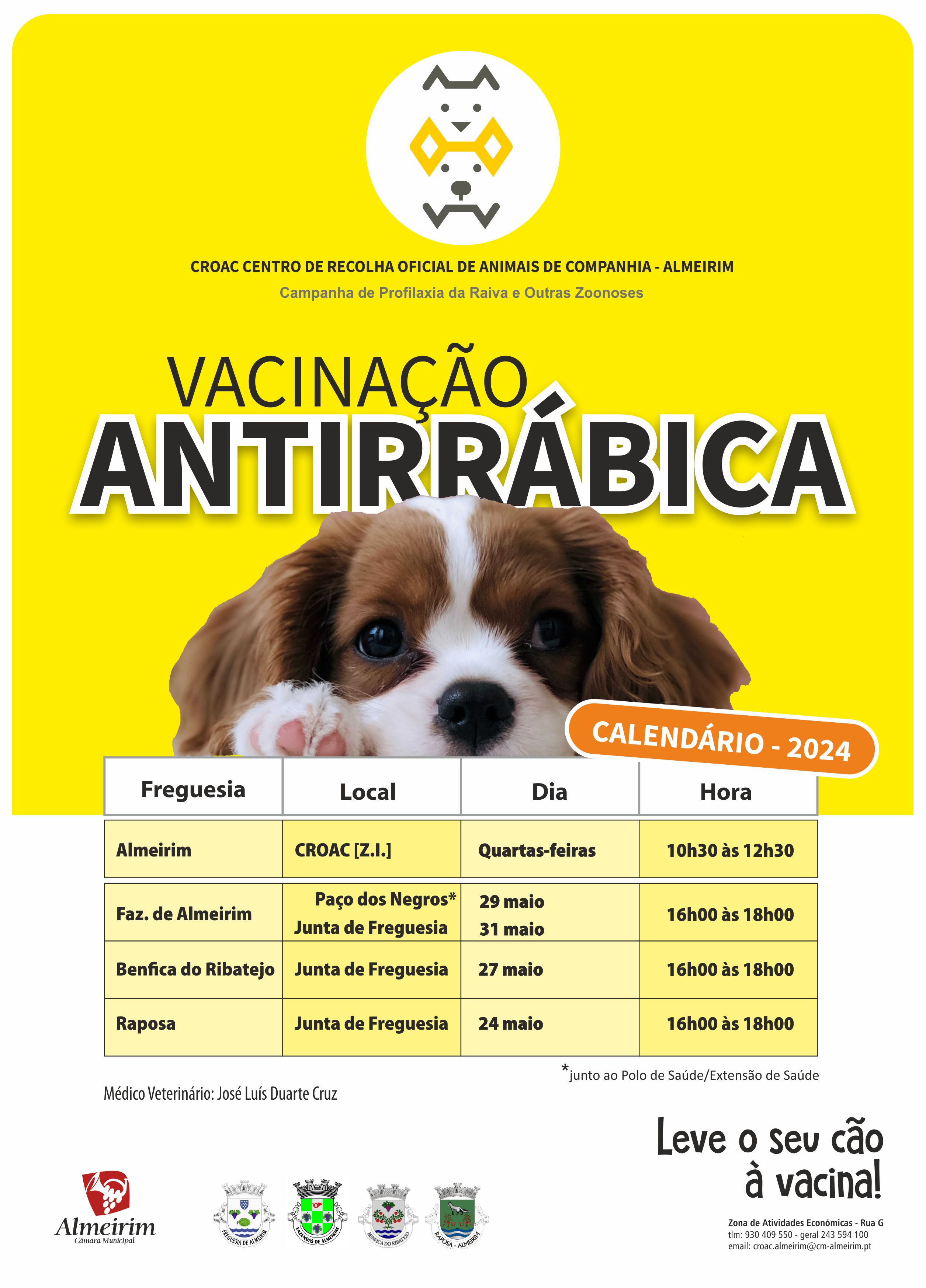 Imagem Vacinação Antirrábica