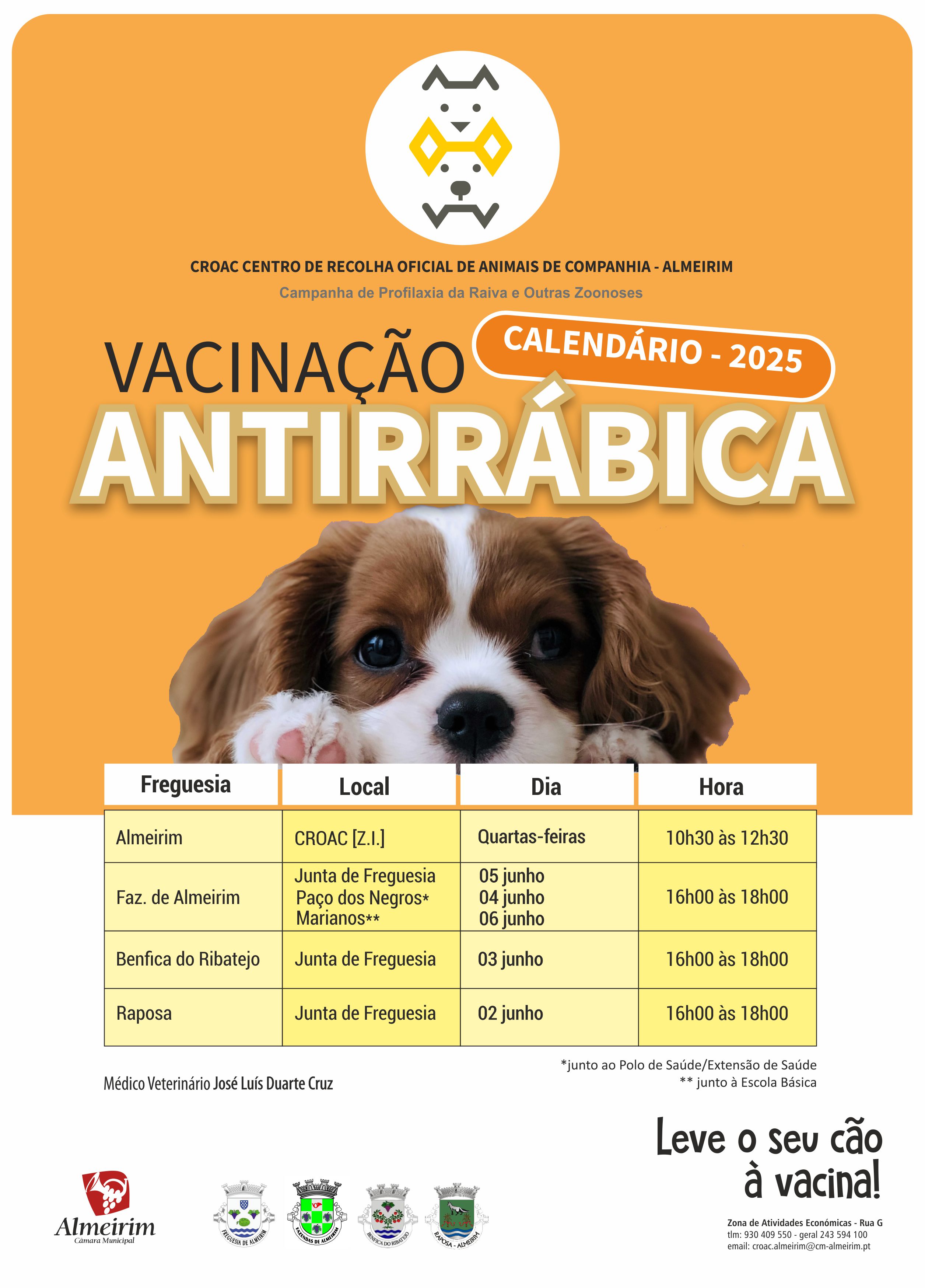 Imagem Vacinação Antirrábica 2025