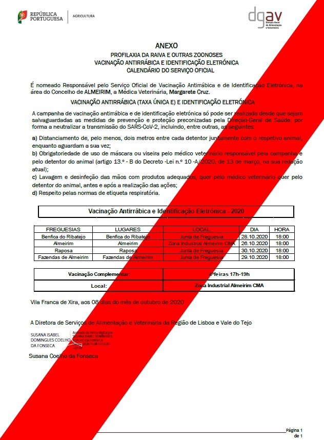 Imagem Vacinação Antirrábica e Identificação Electrónica