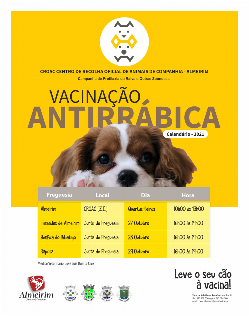 Imagem Vacinação Antirrábica